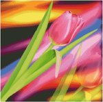 (image for) Tulip Fractal